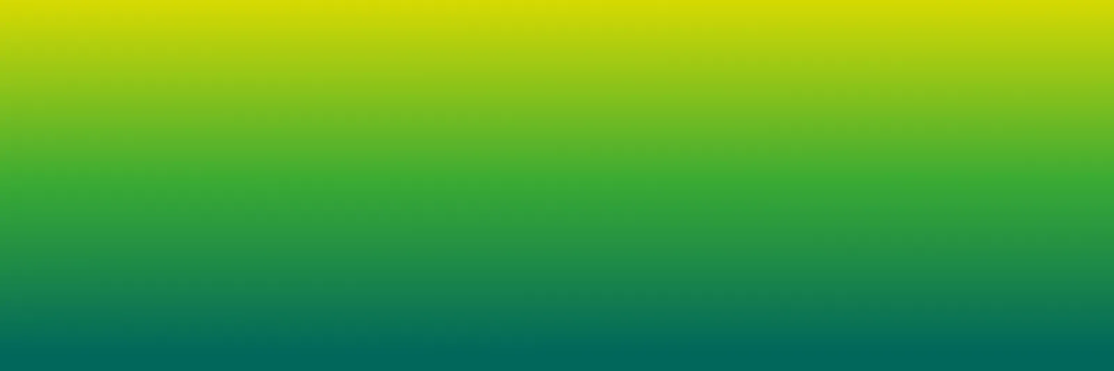 green-tea-1600x533.webp