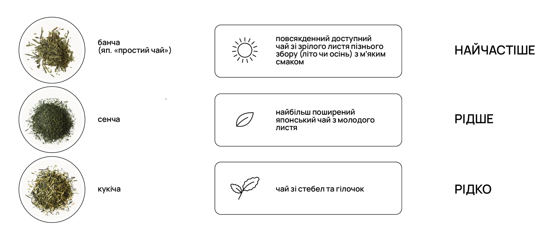 Ходзича, ходзитя, ходжича. Що це за зілля? | OYCHA